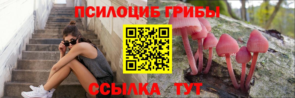 Галлюциногенные грибы Psilocybine cubensis Сорочинск