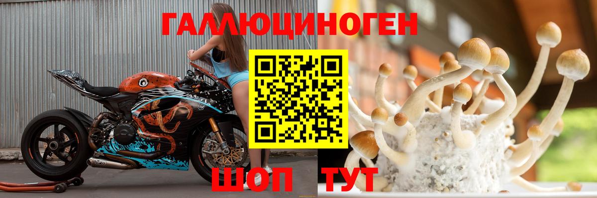 Псилоцибиновые грибы прущие грибы  Вход с VPN  Псилоцибиновые грибы мухоморы  где найти наркотики  Сорочинск 